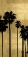 Picture of PALM SILHOUETTE ON GOLD I