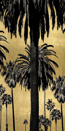 Picture of PALMS WITH GOLD II