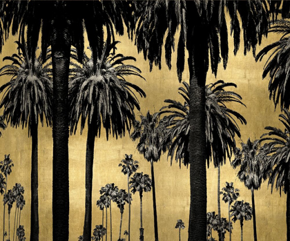 Picture of PALMS ON GOLD