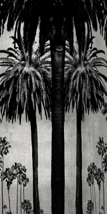 Picture of PALMS WITH SILVER II