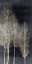 Picture of SILVER TREE SILHOUTTE I
