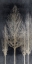 Picture of SILVER TREE SILHOUTTE II