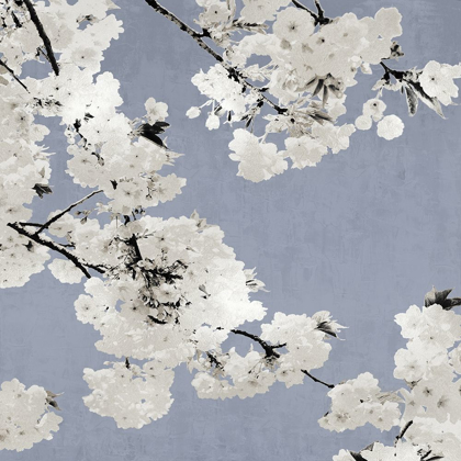 Picture of BLOSSOMS ON BLUE I