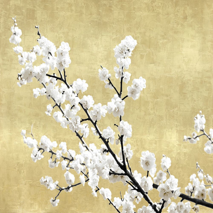 Picture of BLOSSOMS ON GOLD I