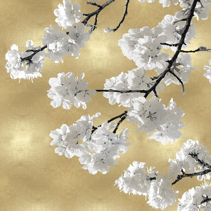 Picture of BLOSSOMS ON GOLD IV
