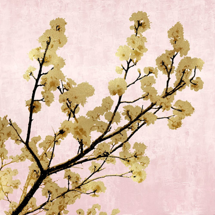 Picture of GOLD BLOSSOMS ON PINK II