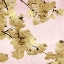 Picture of GOLD BLOSSOMS ON PINK III