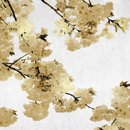 Picture of GOLD BLOSSOMS ON WHITE I