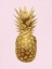 Picture of PINEAPPLE GOLD ON PINK I