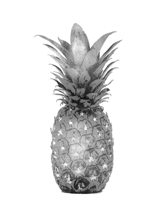 Picture of PINEAPPLE GRAY I