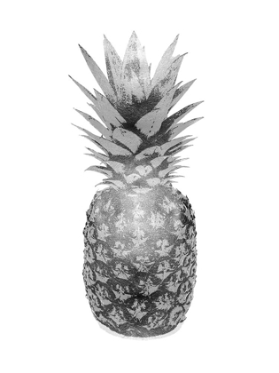 Picture of PINEAPPLE GRAY II