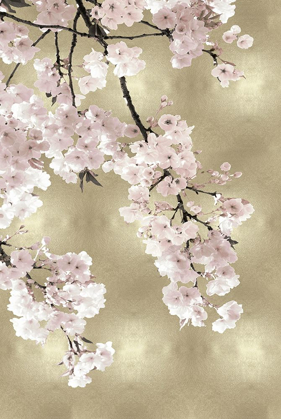 Picture of PINK BLOSSOMS ON GOLD I