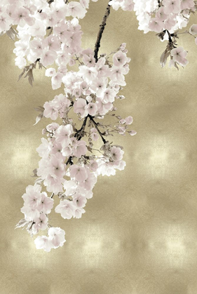 Picture of PINK BLOSSOMS ON GOLD II
