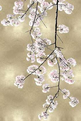 Picture of PINK BLOSSOMS ON GOLD III