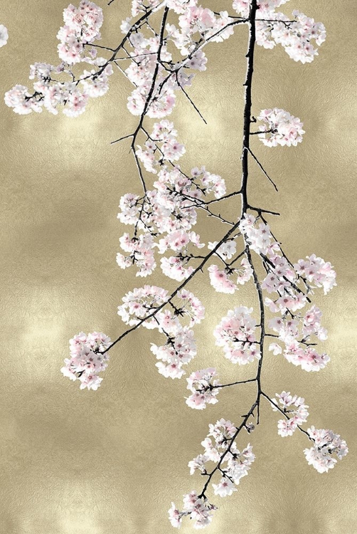 Picture of PINK BLOSSOMS ON GOLD III