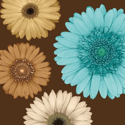 Picture of DAISY QUARTET II