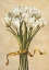 Picture of BOUQUET CANDIDO
