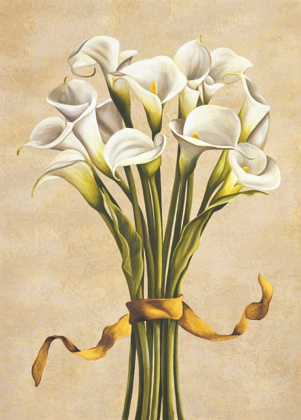Picture of BOUQUET BIANCO
