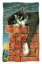 Picture of CHIMNEY SWEEP