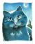 Picture of CHRYSTAL WISDOM