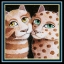 Picture of FIRST DATE (DETAIL)