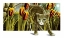 Picture of KING OF THE JUNGLE