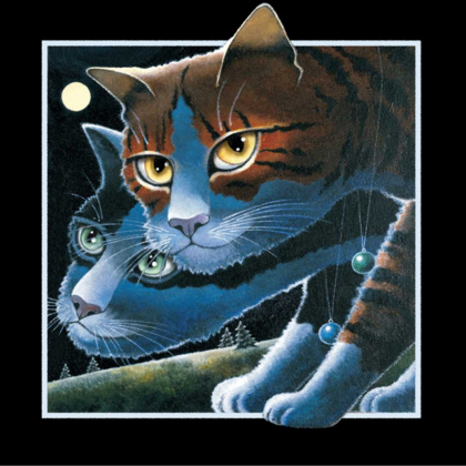 Picture of MIDNIGHT REFLECTIONS (BLACK)