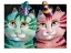 Picture of PARTY TIME (WITH MOUSE)
