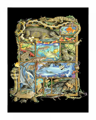 Picture of SHADOWBOX HUNT -REPTILES, FISH