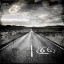 Picture of ROAD TRIP