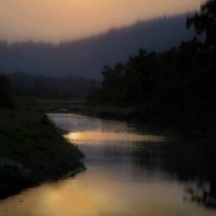 Picture of SUNLIT RIVER