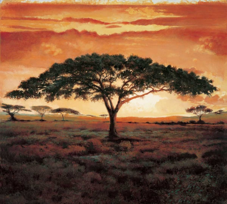 Picture of MASAI TREE