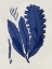 Picture of SEA LIFE - INDIGO IV