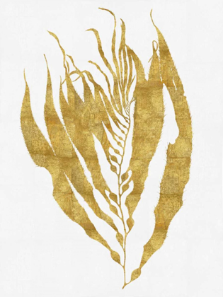 Picture of SEA LIFE - GOLD ON WHITE I
