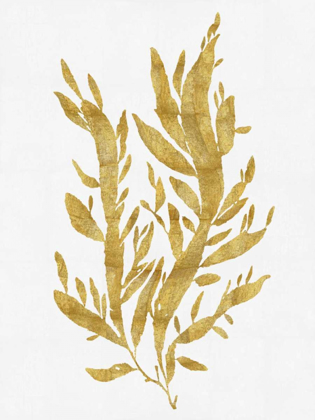 Picture of SEA LIFE - GOLD ON WHITE IV