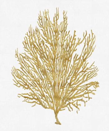 Picture of SEA LIFE - GOLD ON WHITE V