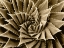 Picture of SUCCULENT TAUPE I