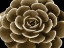 Picture of SUCCULENT TAUPE IV