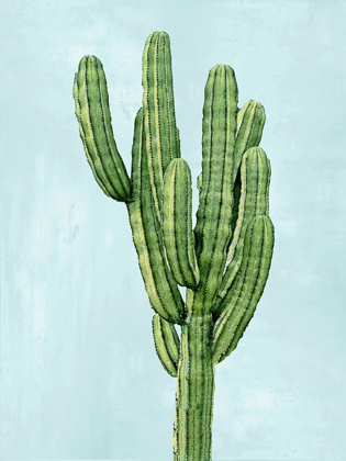 Picture of CACTUS ON BLUE I