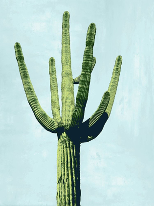 Picture of CACTUS ON BLUE III