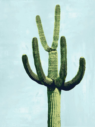 Picture of CACTUS ON BLUE IV