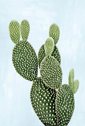 Picture of CACTUS ON BLUE V