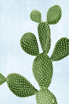 Picture of CACTUS ON BLUE VI