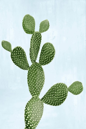 Picture of CACTUS ON BLUE VII