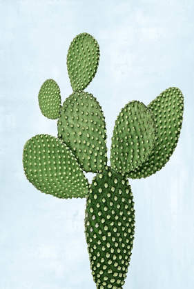 Picture of CACTUS ON BLUE VIII