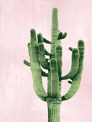 Picture of CACTUS ON PINK II