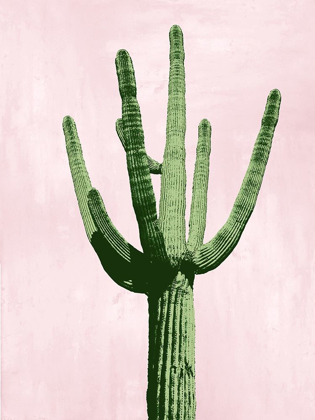 Picture of CACTUS ON PINK III