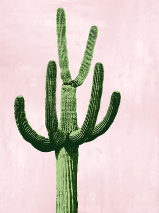 Picture of CACTUS ON PINK IV