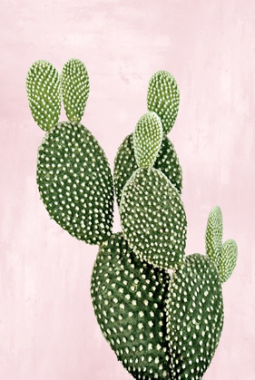 Picture of CACTUS ON PINK V