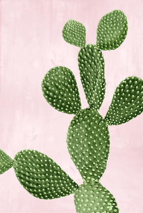 Picture of CACTUS ON PINK VI
